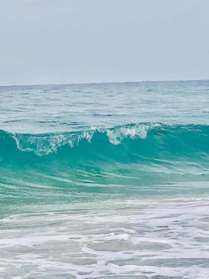 Shore Evamar Μπένιντορμ Εξωτερικό φωτογραφία